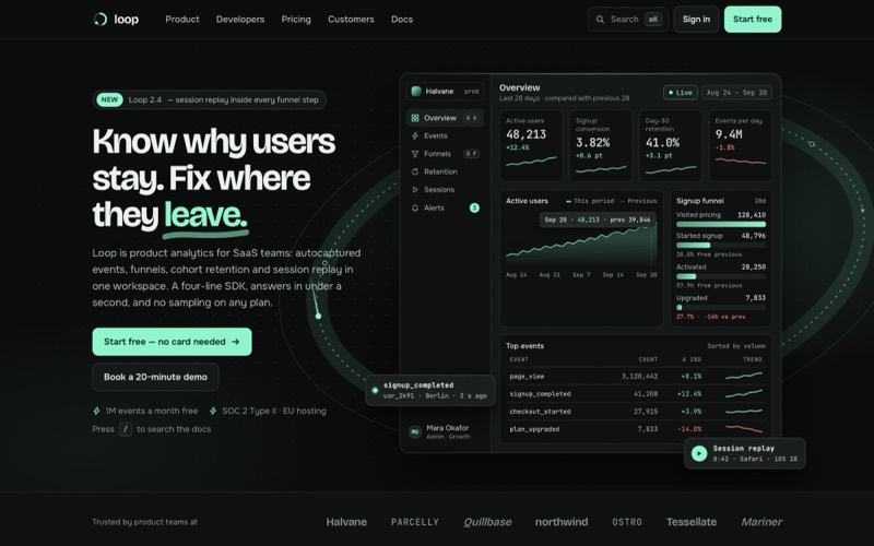 Website design concept: Loop Analytics